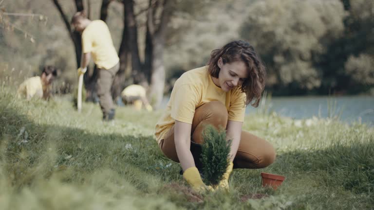Best Artificial Turf Installation  in Willow Oak, FL